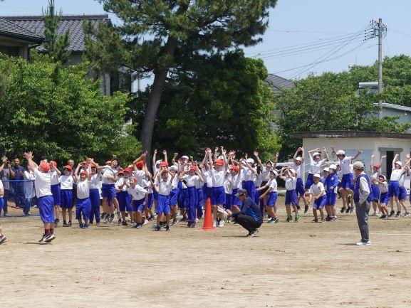 大人をたおせ！大玉送り